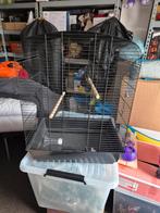 Grote vogelkooi (ZGAN), Dieren en Toebehoren, Vogels | Hokken en Kooien, Ophalen, Metaal, Vogelkooi