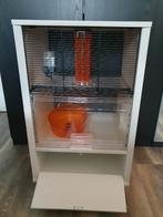 Mooi verblijf knaagdieren., Dieren en Toebehoren, Ophalen, Kooi, 60 tot 90 cm, Minder dan 75 cm