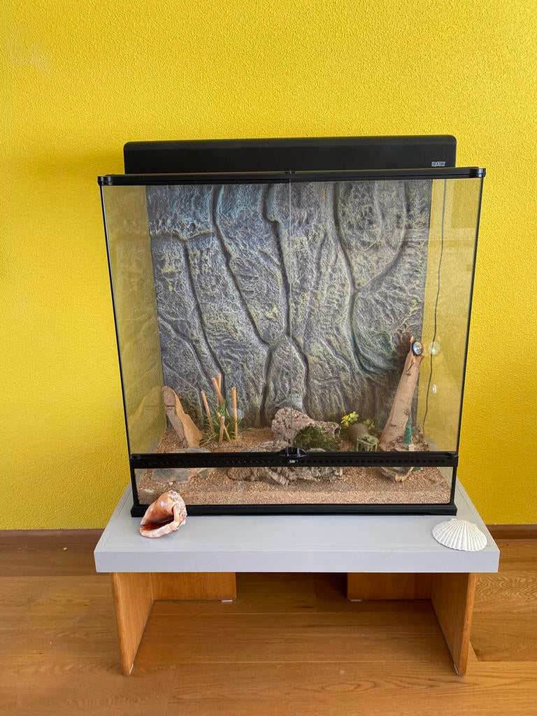 Exo terra terarium, Dieren en Toebehoren, Reptielen en Amfibieën | Toebehoren, Ophalen, Zo goed als nieuw