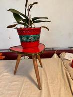 Plantentafeltje,fifties,sixties,Rockabilly,vintage,, Huis en Inrichting, Ophalen of Verzenden, Overige soorten, Halfschaduw, Minder dan 100 cm
