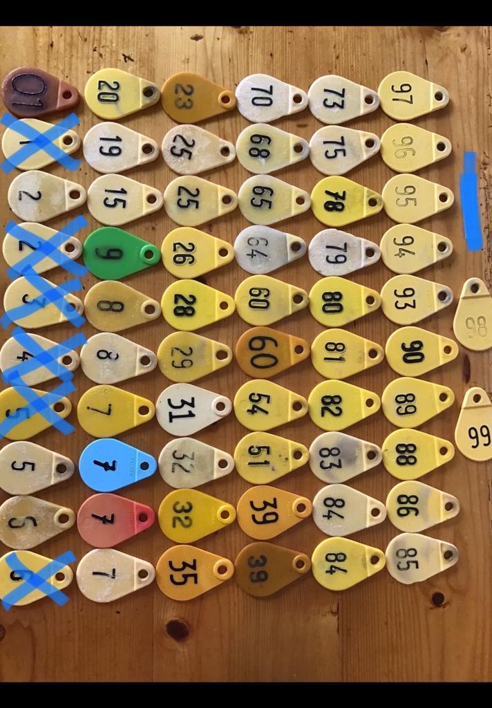 56 Stuks nummer voor oa schaap. Merk : Dalton, Prima, Horka., Dieren en Toebehoren, Overige Dieren-accessoires, Ophalen of Verzenden