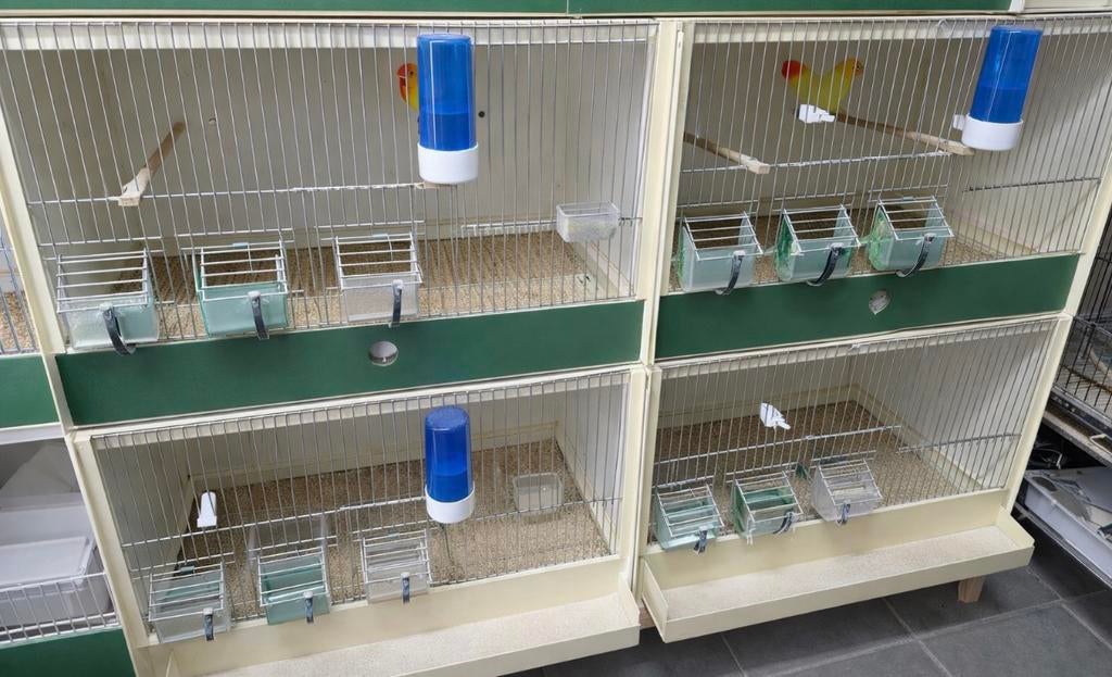 Heesakkers kunststof broedkooien, Ophalen, Gebruikt, Kunststof, Broedkooi of Kweekkooi