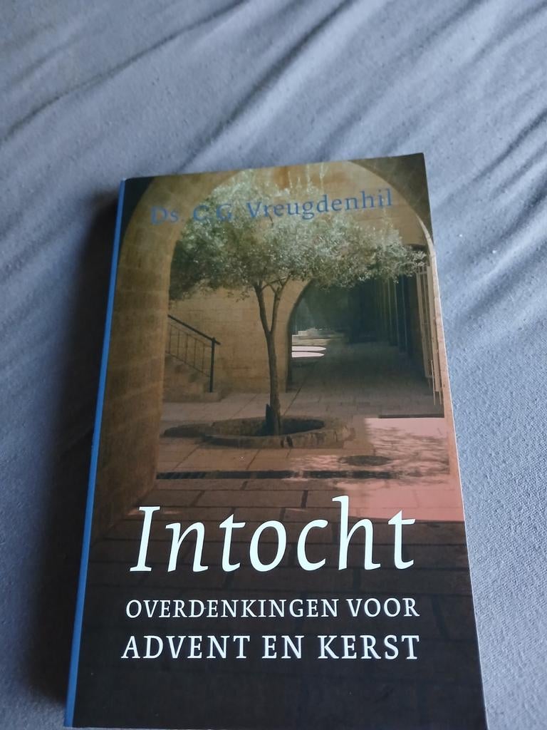 C.G. Vreugdenhil - Intocht, Ophalen of Verzenden, Zo goed als nieuw, C.G. Vreugdenhil
