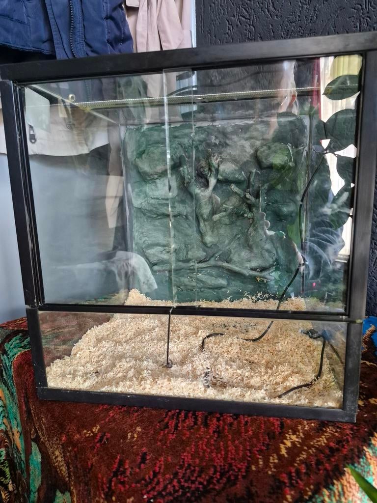 Gebruikte terarium 35 breed 36 hoog 35 diep, Dieren en Toebehoren, Reptielen en Amfibieën | Toebehoren, Ophalen