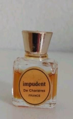 Impudent de Charrieres, Ophalen of Verzenden, Zo goed als nieuw, Miniatuur, Gevuld