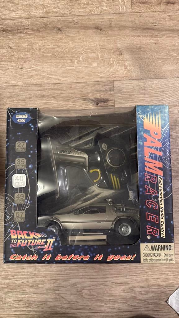 Back to the Future II DeLorean Palm Racer RC Auto, Overige merken, Auto, 1:32 tot 1:50, Ophalen of Verzenden