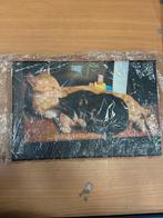 Schilderij 2 katten op canvas - 30x20 cm, Ophalen of Verzenden