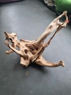 Aquarium drijfhout, Dieren en Toebehoren, Ophalen of Verzenden, Plant(en), Steen of Hout