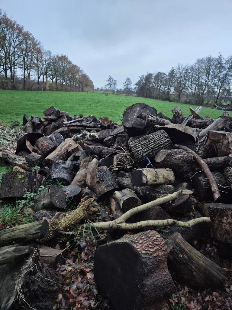 Brandhout te koop, Tuin en Terras, Haardhout, Ophalen