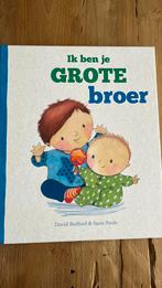 Grote broer, Boeken, Ophalen of Verzenden, Zo goed als nieuw