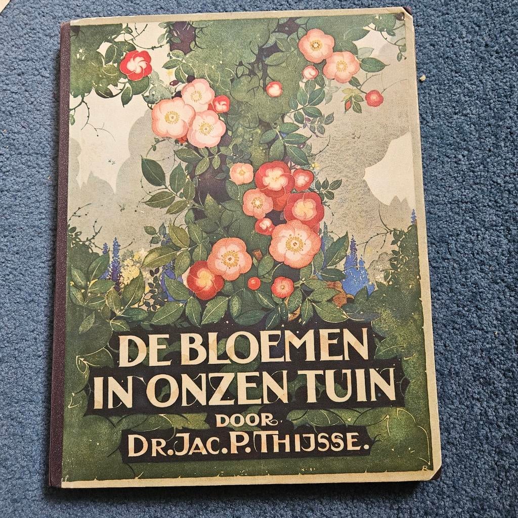 Bloemen in onze tuin verkade boek, Boeken, Prentenboeken en Plaatjesalbums, Ophalen of Verzenden, Gelezen