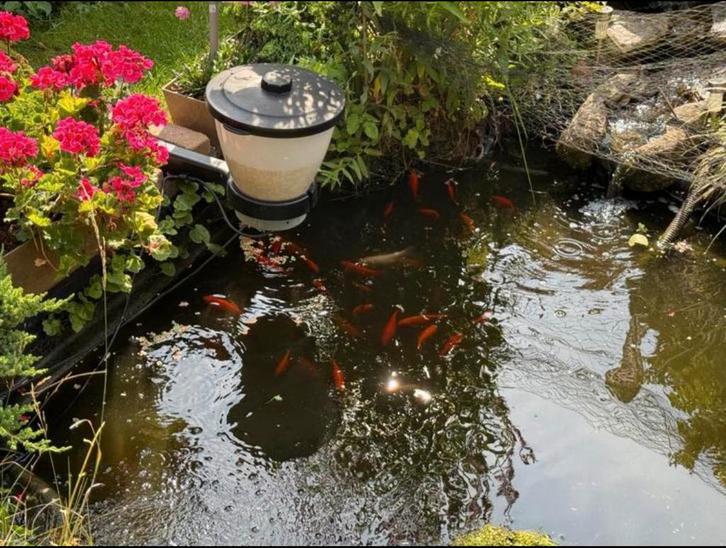 Vijver Fish feeder visvoer vissen voermachine voerautomaat, Tuin en Terras, Vijver-toebehoren, Gebruikt, Overige typen, Ophalen