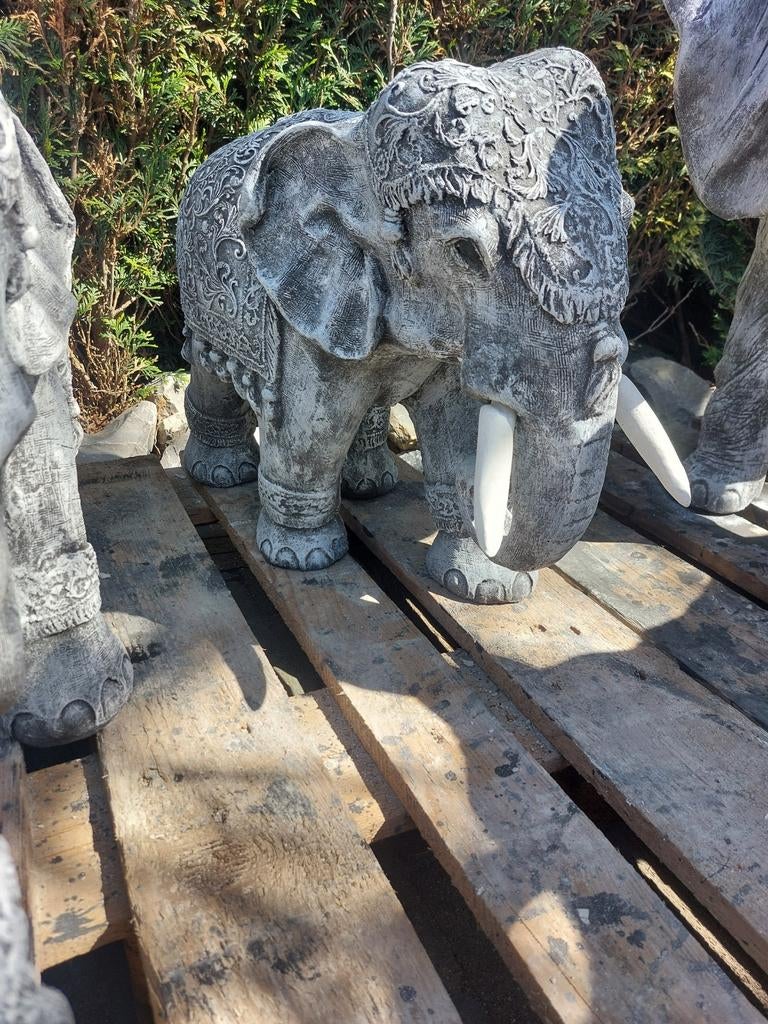 Crealisa, DE Beeldenspecialist van het Zuiden, Ophalen of Verzenden, Nieuw, Beton, Dierenbeeld