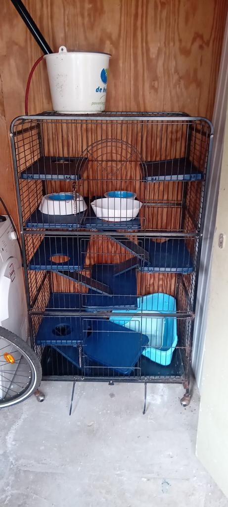 Kooi, Dieren en Toebehoren, Ophalen, Kooi, Minder dan 60 cm