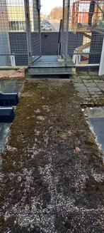 Grindtegels gratis, Ophalen of Verzenden, Gebruikt, Beton, Terrastegels