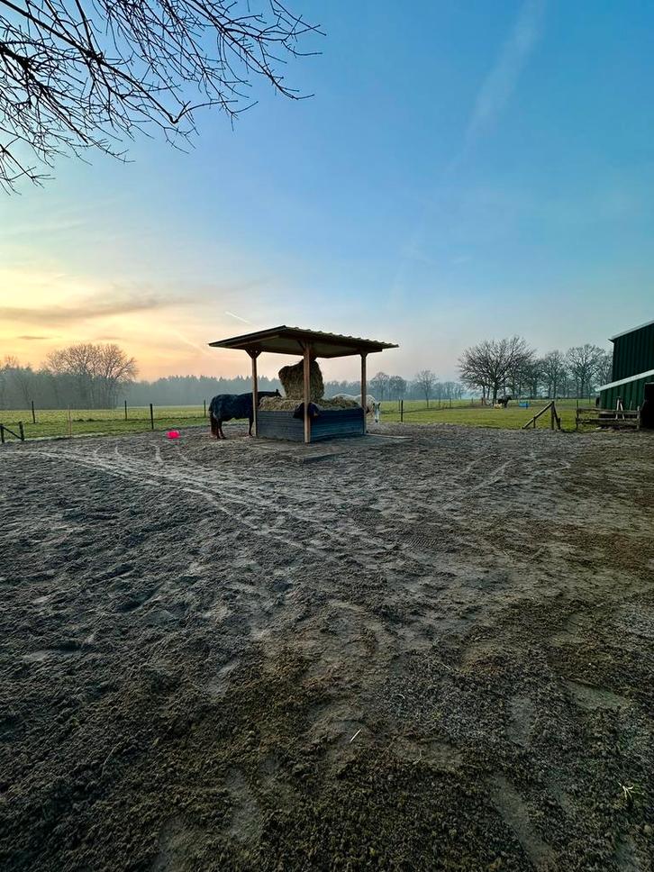 24/7 buitenplekje vrij voor 1-2 merries in Leersum!️, Dieren en Toebehoren, Stalling en Weidegang, Stalling, Weidegang, 2 of 3 paarden of pony's