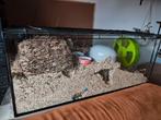 Hamster terrarium/kooi 100x40x40 + playpen 140x70, Dieren en Toebehoren, Kooi, Zo goed als nieuw, Hamster, 75 tot 110 cm
