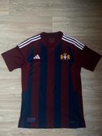 PEC Zwolle Leo Major Bevrijdingsshirt 2024-2025, Maat M, Ophalen of Verzenden, Zo goed als nieuw, Shirt