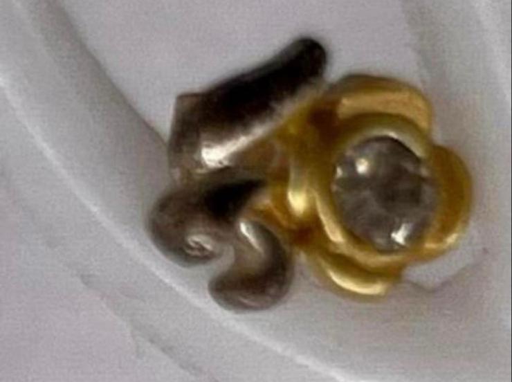 Goudkleurige Leeuwen Oorbellen met Doorzichtige Steen, Met kristal, Overige materialen, Nieuw, Ophalen of Verzenden