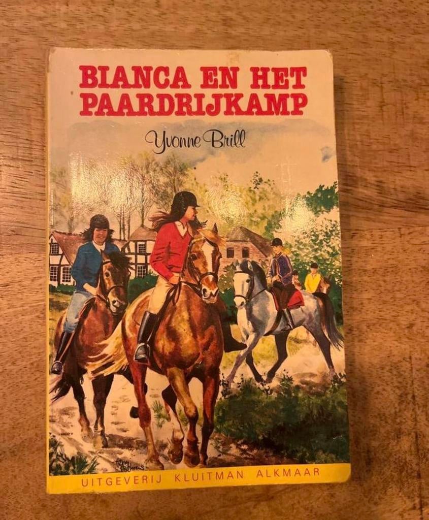Bianca en het Paardrijkamp - Yvonne Brill, Ophalen of Verzenden, Gelezen, Fictie algemeen