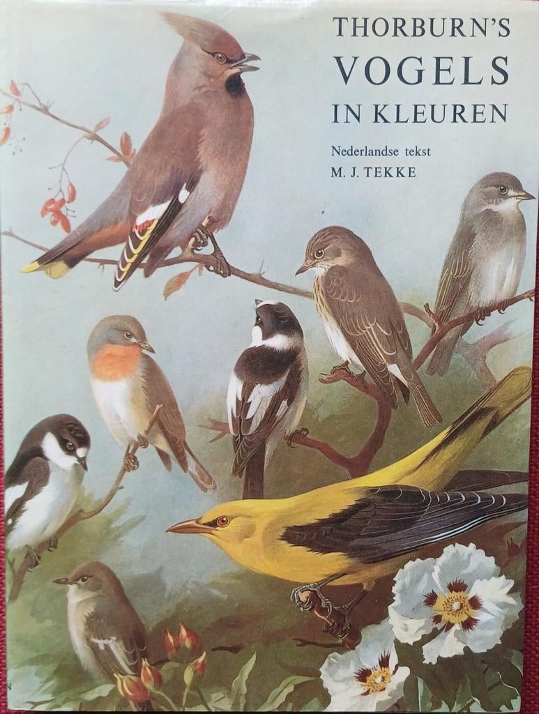 Thorburn's Vogels in Kleuren met schitterende illustraties, Ophalen of Verzenden, Gelezen, Vogels