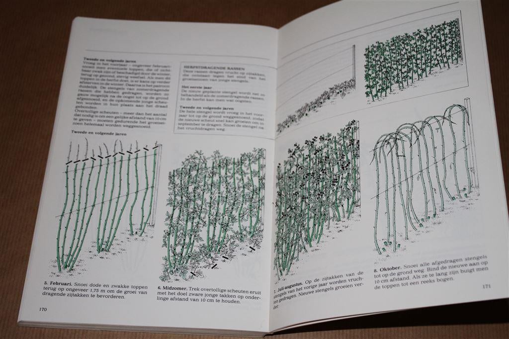 Groenboekerij: Stap-voor-stap-gids. Snoeien., Ophalen of Verzenden, Gelezen