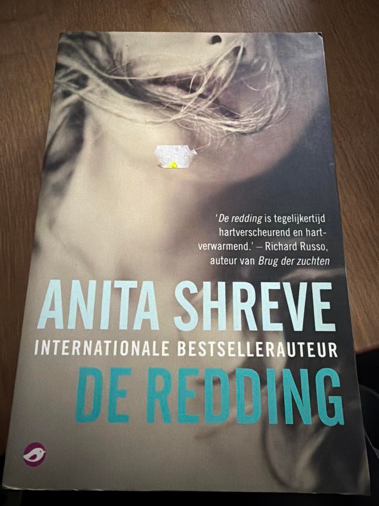 B2.   Anita Shreve - De redding, Boeken, Literatuur, Zo goed als nieuw, Ophalen of Verzenden