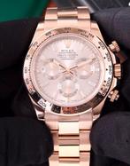 Daytona, Overige merken, Staal, Nieuw, Ophalen of Verzenden