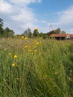 Bokashi van paardenmest, Ophalen, Compost