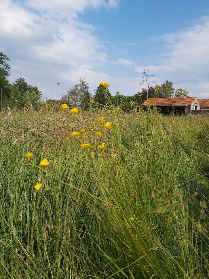 Bokashi van paardenmest, Tuin en Terras, Aarde en Mest, Compost, Ophalen