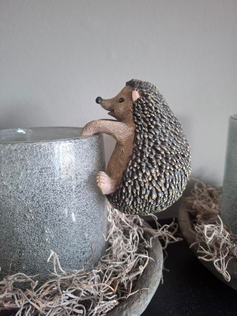 Hang egeltje, Ophalen of Verzenden