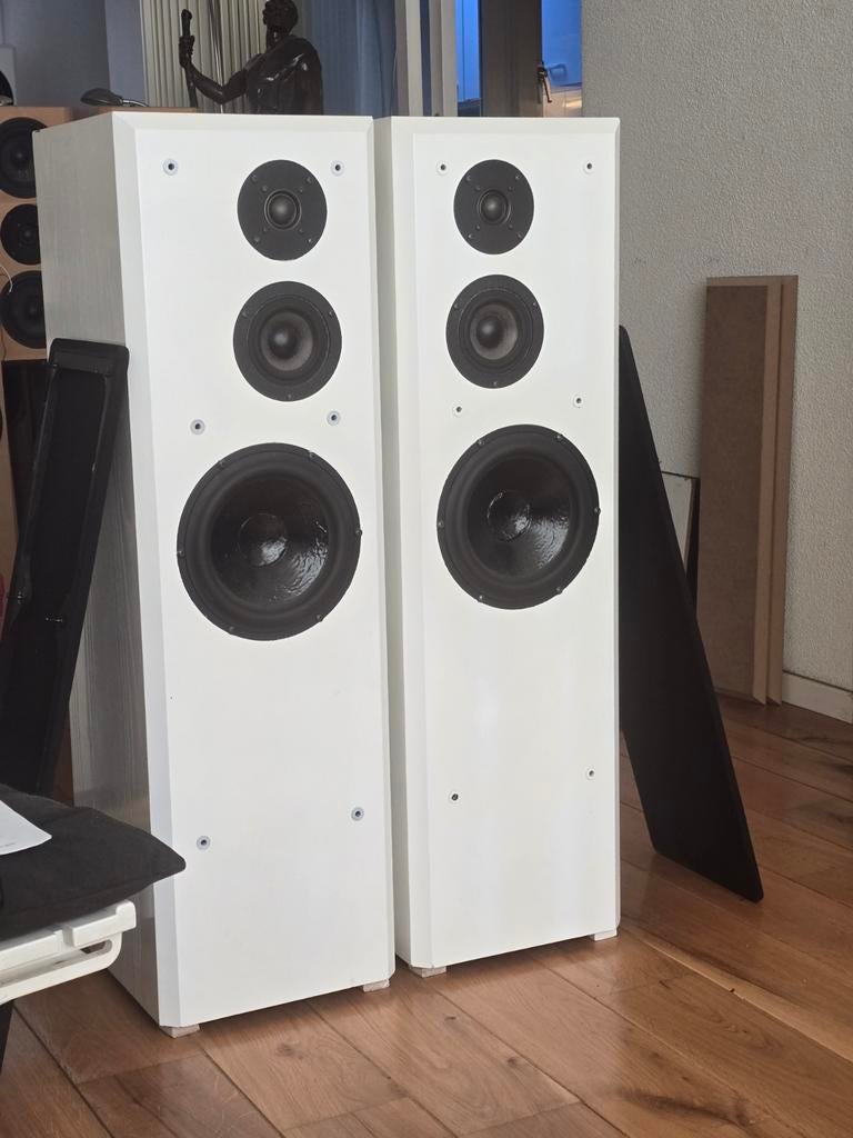 Zelfbouw Scan Speak 3-weg door oud Speaker & Co medewerker, Overige merken, Ophalen of Verzenden, Zo goed als nieuw, 120 watt of meer