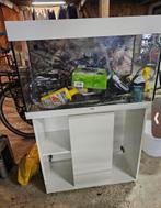 GEZOCHT aquarium / aquarium spullen, Ophalen, Zo goed als nieuw, Leeg aquarium