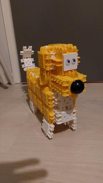 Clicformers honden beschikbaar voor biedingen