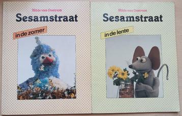 Sesamstraat In de Lente en In de Zomer - Hilde van Oostrum beschikbaar voor biedingen