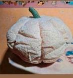 Mooi kussen doorsnede ruim 28 cm. Nieuw, Ophalen of Verzenden, Nieuw, Beige, Rond