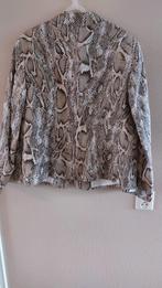 Mooi Colbert merk Basler mt 46, Kleding | Dames, Jasjes, Kostuums en Pakken, Ophalen of Verzenden, Zo goed als nieuw, Maat 46/48 (XL) of groter