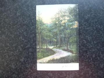 BREDA  kiekje in het Mastbosch 1904 beschikbaar voor biedingen