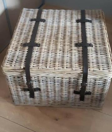 Grote mand ook als salontafel te gebruiken beschikbaar voor biedingen