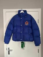 Dsquared2 Pufferjas - Zo goed als nieuw - Maat M, Ophalen of Verzenden, Zo goed als nieuw, Maat 38/40 (M), Blauw