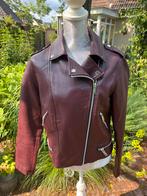 Faux leather bordeaux rode blazer Mango L, Mango, Maat 42/44 (L), Ophalen of Verzenden, Zo goed als nieuw