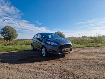 Ford Fiësta 1.0 59KW/80PK 5D 2016 Grijs beschikbaar voor biedingen