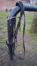 Hoofdstel maat COB, Dieren en Toebehoren, Paarden en Pony's | Hoofdstellen en Tuigage, Ophalen of Verzenden, Zo goed als nieuw