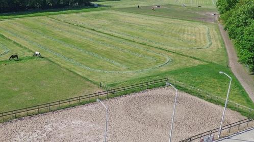 Pensionstalling aangeboden., Dieren en Toebehoren, Stalling en Weidegang, Weidegang