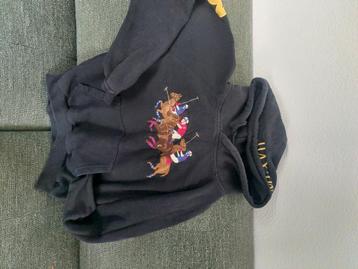 POLO RALPH LAUREN  HOODIE beschikbaar voor biedingen