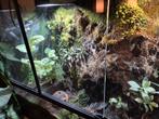 Paludarium (terrarium), Dieren en Toebehoren, Ophalen, Zo goed als nieuw