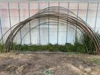 Te koop: Stalen tunnelkas-bogen, Ophalen, Glas, Zo goed als nieuw, Staal