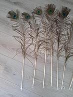 Decoratieve Pauwveren - Set, Ophalen of Verzenden, Zo goed als nieuw
