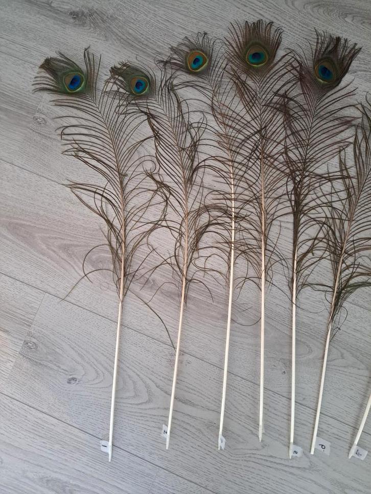 Decoratieve Pauwveren - Set, Huis en Inrichting, Woonaccessoires | Overige, Zo goed als nieuw, Ophalen of Verzenden