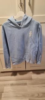 Hoodie The Sting maat M Amy & Ivy, Kleding | Dames, Ophalen of Verzenden, Maat 36 (S), Blauw